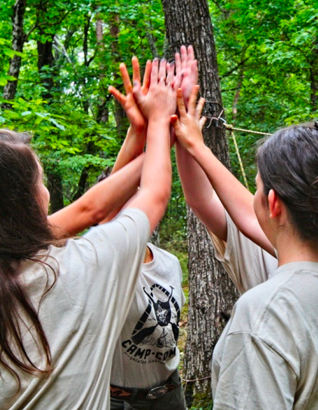 Boyscouts raising hands together