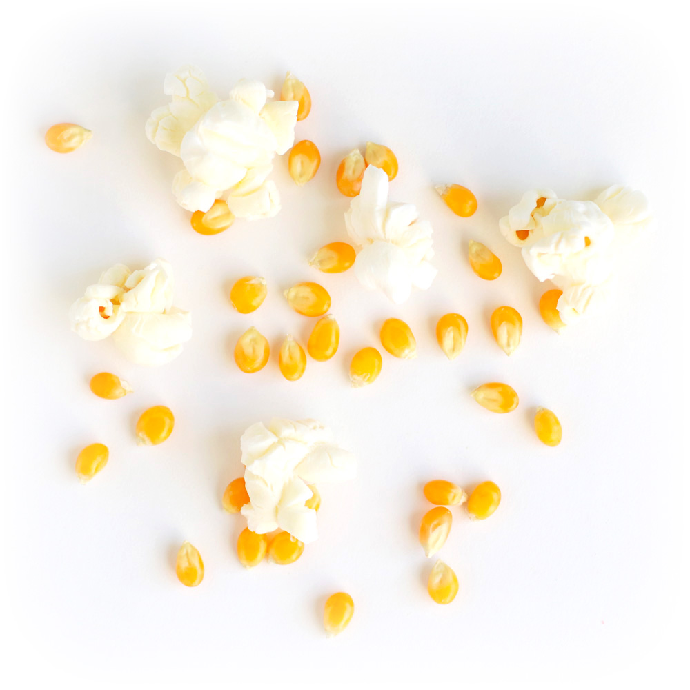 Yellow Popping Corn